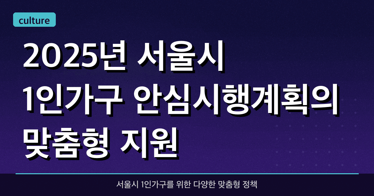 2025년 서울시 1인가구 안심시행계획의 맞춤형 지원