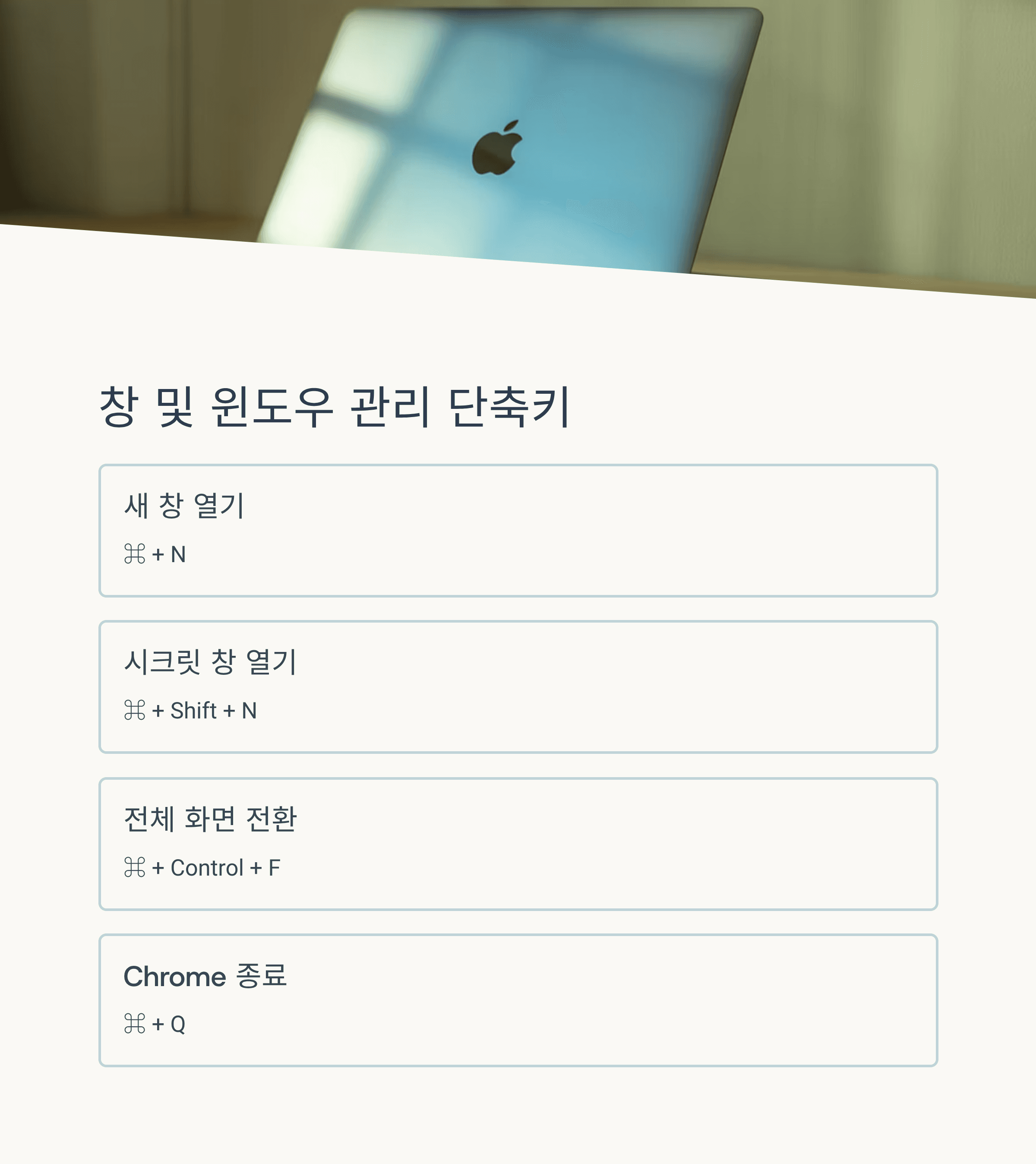 맥북에서 작업 속도를 10배로! 크롬 단축키 꿀팁 모음