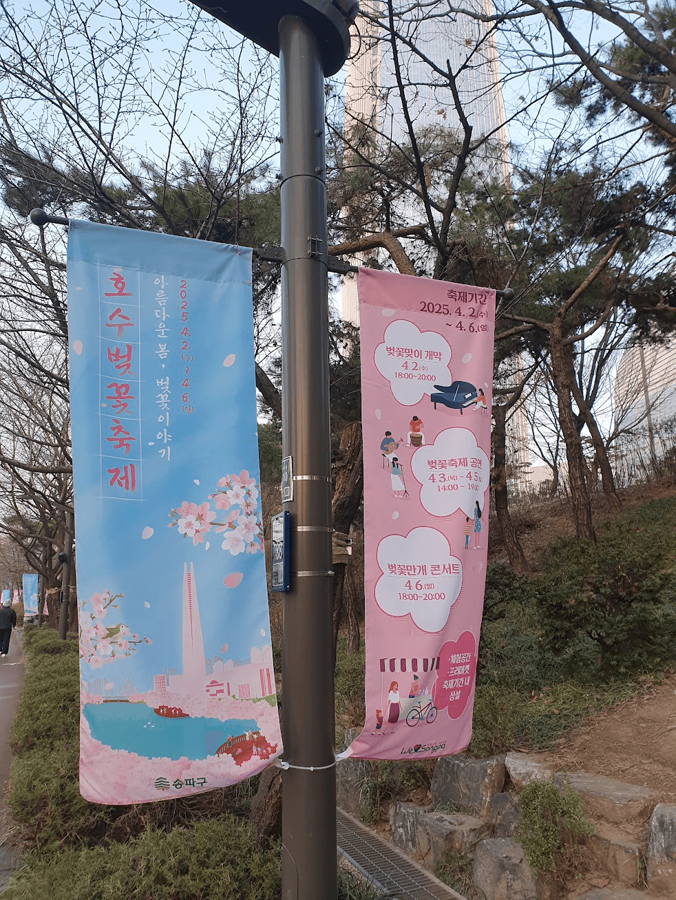 2025년 석촌호수 벚꽃 축제 사전 답사 후기와 방문 팁