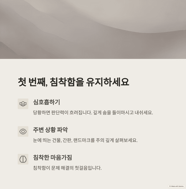 해외에서 길을 잃었을 때 대처법, 당황하지 않는 법