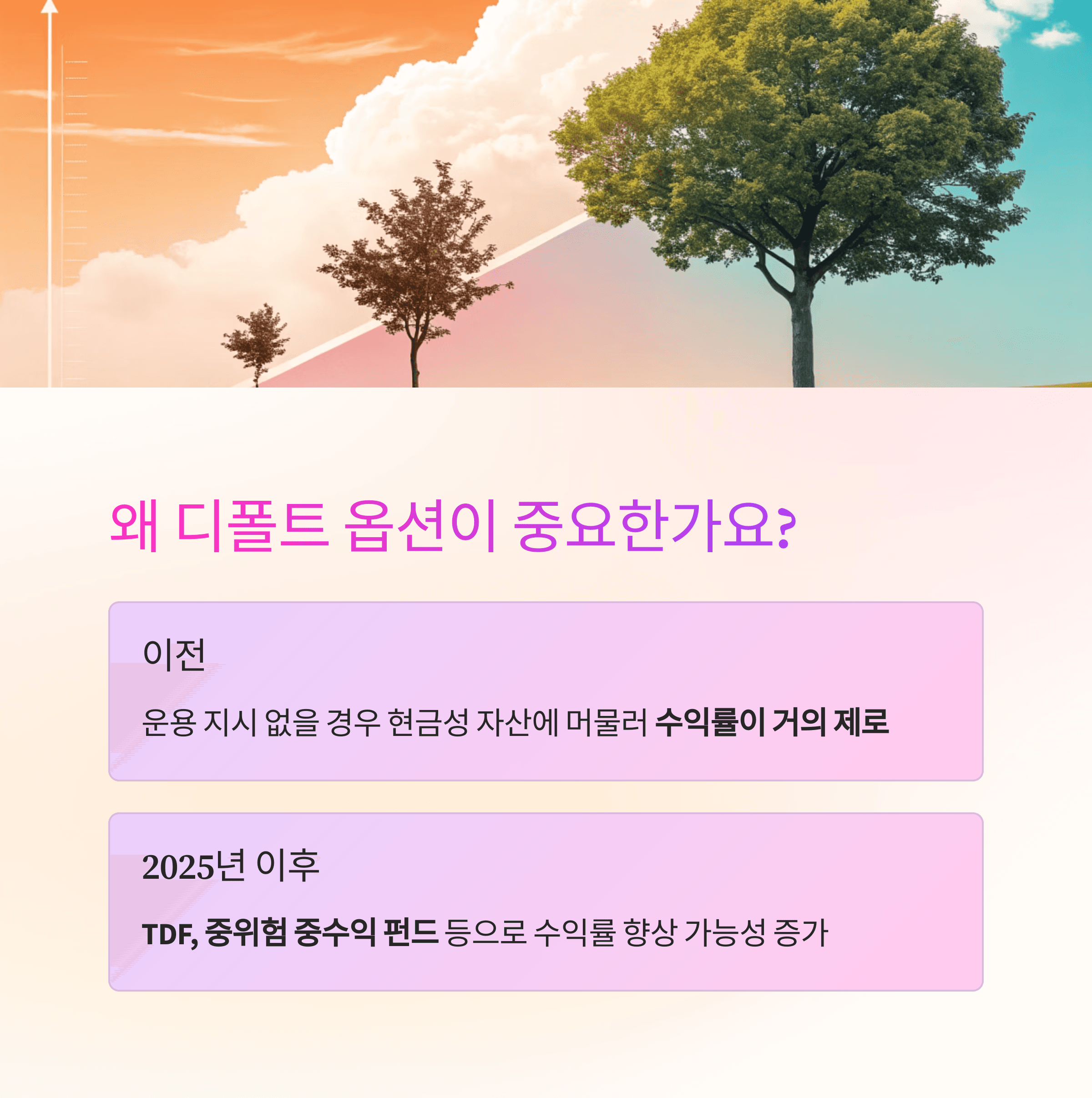 2025년 개인 투자자 주목! 달라진 ‘퇴직연금 디폴트 옵션’ 활용 전략